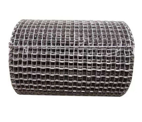 Niestandardowy pasek z siatki ze stali nierdzewnej o długości 20 cm-200 cm do zakładu produkcyjnego