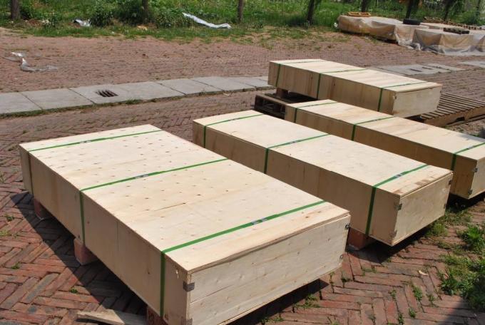 Dostosowana odporność na korozję Owocowy przenośnik taśmowy z napędem łańcuchowym 7