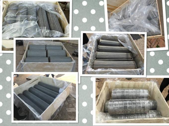 SUS316L Siatka do produkcji przenośnika taśmowego ze stali nierdzewnej 6